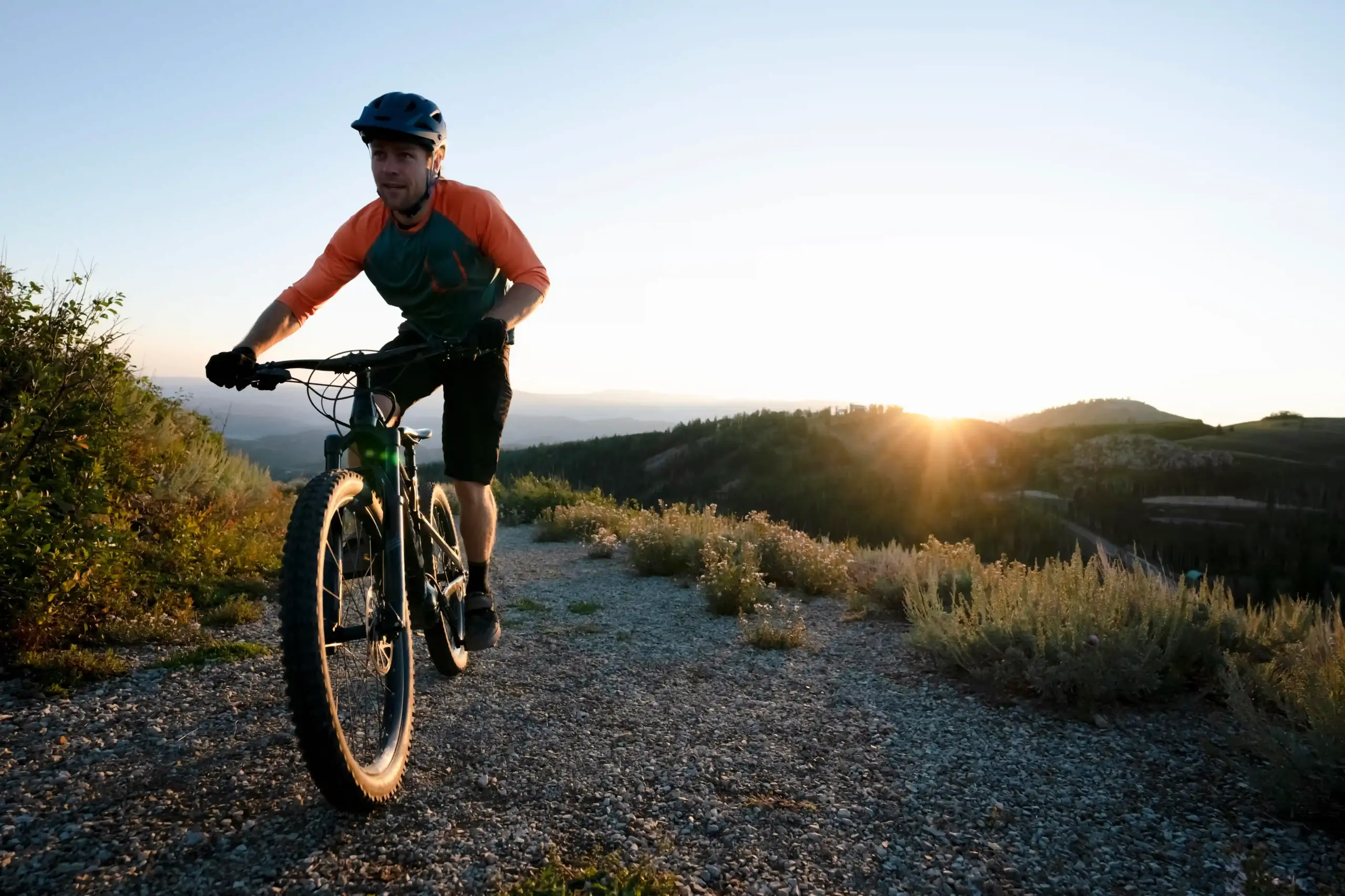 Carrera MTB